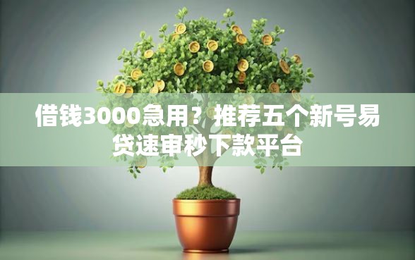 借钱3000急用？推荐五个新号易贷速审秒下款平台