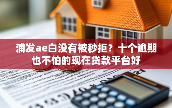 浦发ae白没有被秒拒？十个逾期也不怕的现在贷款平台好