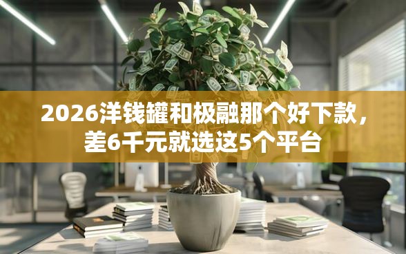 2026洋钱罐和极融那个好下款，差6千元就选这5个平台