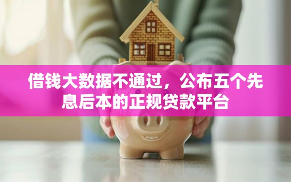 借钱大数据不通过，公布五个先息后本的正规贷款平台