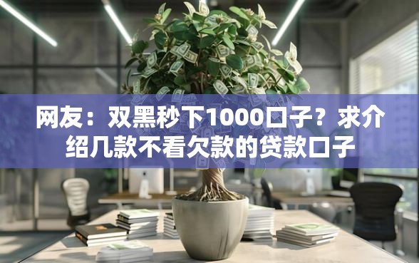 网友：双黑秒下1000口子？求介绍几款不看欠款的贷款口子