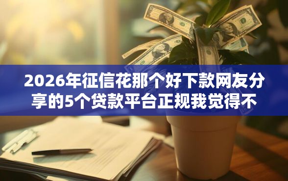 2026年征信花那个好下款网友分享的5个贷款平台正规我觉得不错！