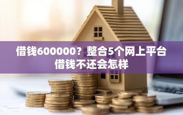 借钱600000？整合5个网上平台借钱不还会怎样