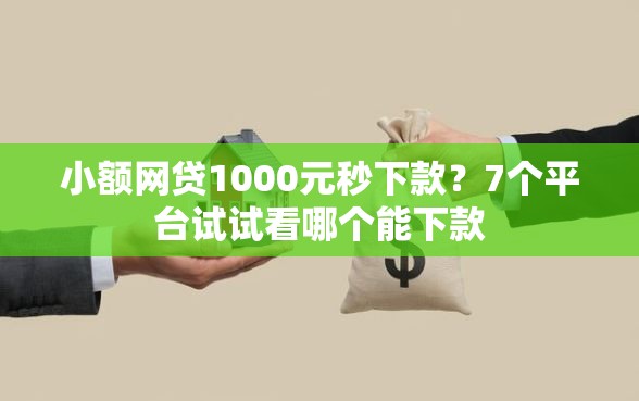 小额网贷1000元秒下款？7个平台试试看哪个能下款
