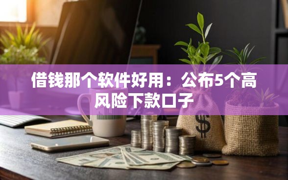 借钱那个软件好用：公布5个高风险下款口子