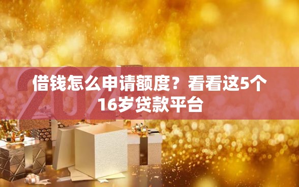 借钱怎么申请额度？看看这5个16岁贷款平台