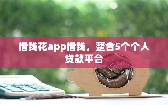 借钱花app借钱，整合5个个人贷款平台