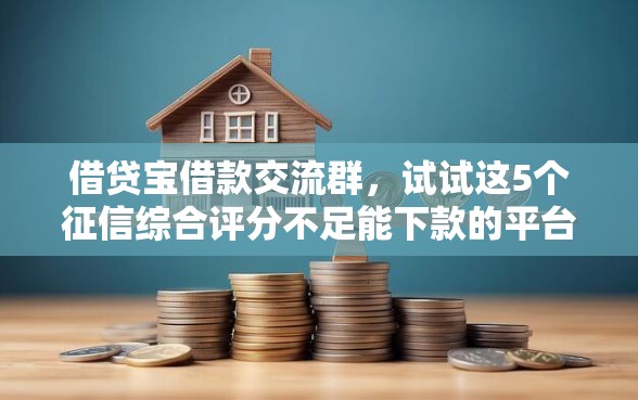 借贷宝借款交流群，试试这5个征信综合评分不足能下款的平台