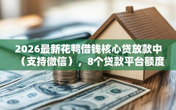 2026最新花鸭借钱核心贷放款中（支持微信），8个贷款平台额度高无私分享