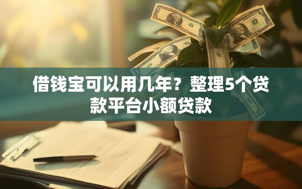 借钱宝可以用几年？整理5个贷款平台小额贷款