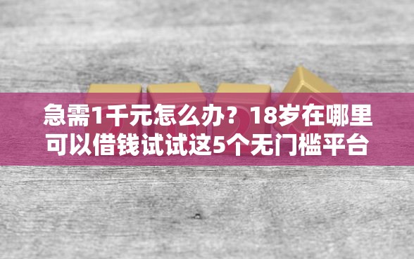 急需1千元怎么办？18岁在哪里可以借钱试试这5个无门槛平台