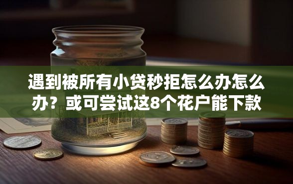 遇到被所有小贷秒拒怎么办怎么办？或可尝试这8个花户能下款的口子