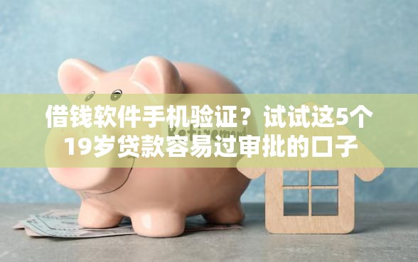 借钱软件手机验证？试试这5个19岁贷款容易过审批的口子