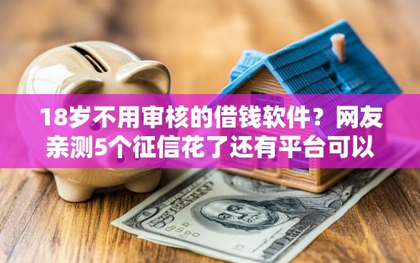 18岁不用审核的借钱软件？网友亲测5个征信花了还有平台可以借款盘点