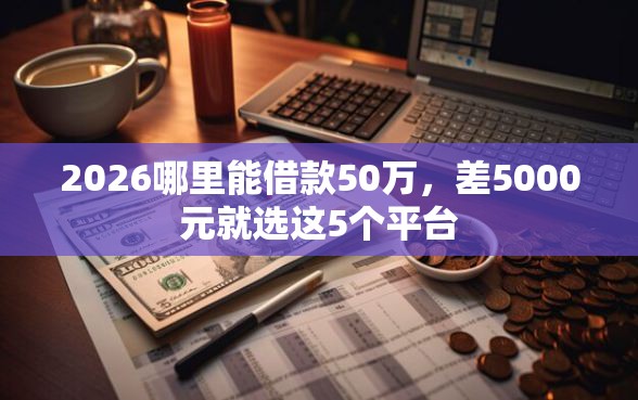 2026哪里能借款50万，差5000元就选这5个平台
