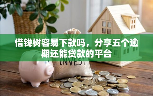 借钱树容易下款吗，分享五个逾期还能贷款的平台