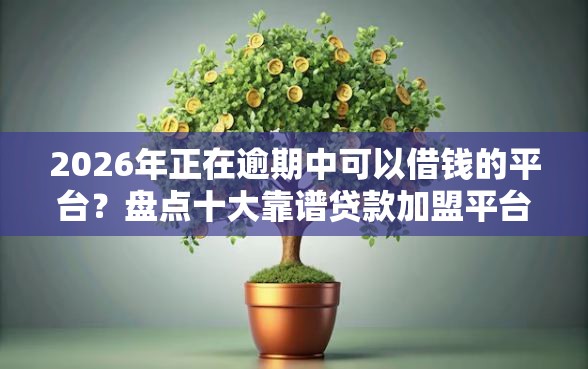 2026年正在逾期中可以借钱的平台？盘点十大靠谱贷款加盟平台