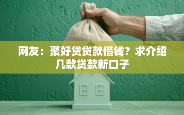 网友：聚好贷贷款借钱？求介绍几款贷款新口子