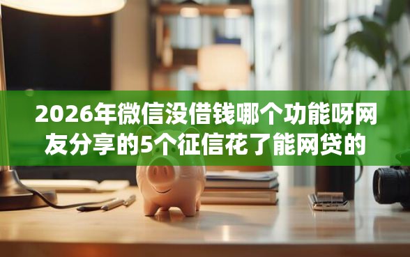2026年微信没借钱哪个功能呀网友分享的5个征信花了能网贷的app我觉得不错！