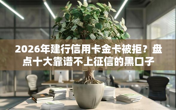 2026年建行信用卡金卡被拒？盘点十大靠谱不上征信的黑口子