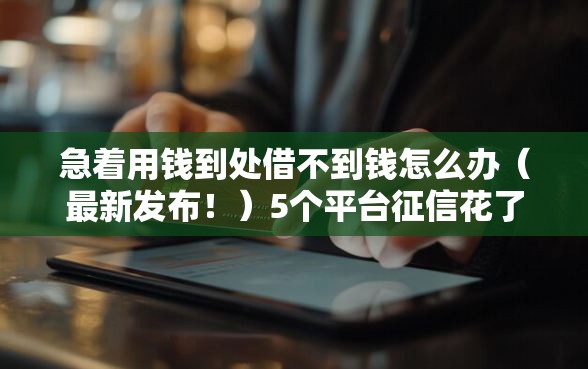 急着用钱到处借不到钱怎么办（最新发布！）5个平台征信花了可以借三五千块钱