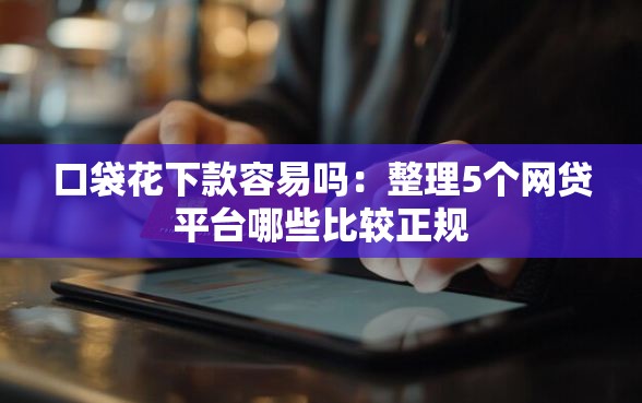 口袋花下款容易吗：整理5个网贷平台哪些比较正规