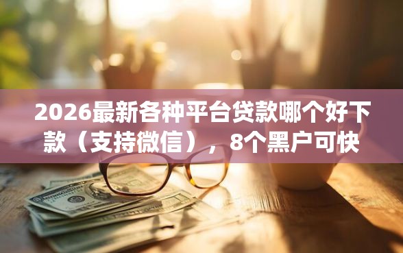 2026最新各种平台贷款哪个好下款（支持微信），8个黑户可快速办理小额贷款业务的app无私分享