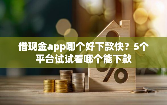 借现金app哪个好下款快？5个平台试试看哪个能下款
