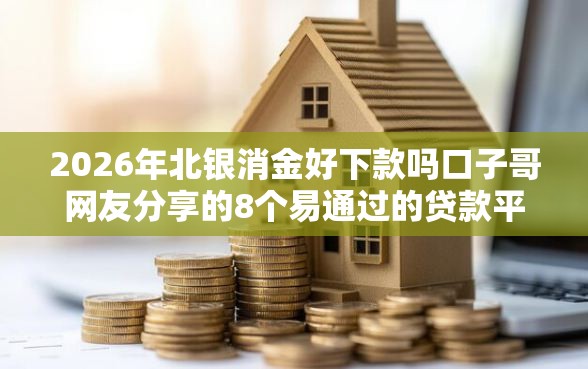 2026年北银消金好下款吗口子哥网友分享的8个易通过的贷款平台我觉得不错！
