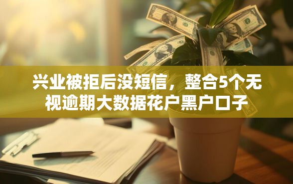 兴业被拒后没短信，整合5个无视逾期大数据花户黑户口子