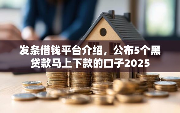 发条借钱平台介绍，公布5个黑贷款马上下款的口子2025