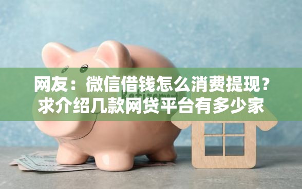 网友：微信借钱怎么消费提现？求介绍几款网贷平台有多少家