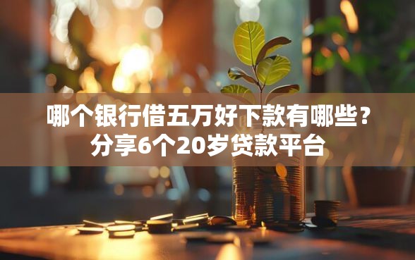 哪个银行借五万好下款有哪些？分享6个20岁贷款平台