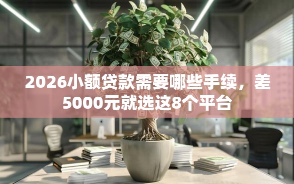 2026小额贷款需要哪些手续，差5000元就选这8个平台