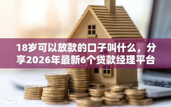 18岁可以放款的口子叫什么，分享2026年最新6个贷款经理平台
