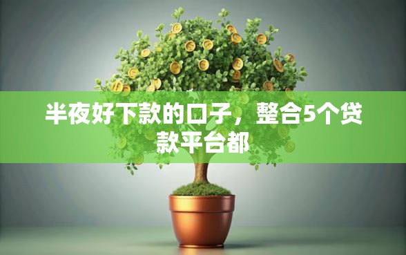 半夜好下款的口子，整合5个贷款平台都