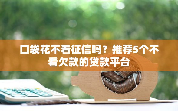 口袋花不看征信吗？推荐5个不看欠款的贷款平台