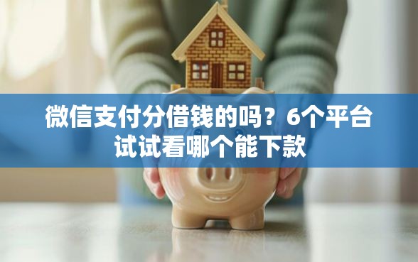 微信支付分借钱的吗？6个平台试试看哪个能下款
