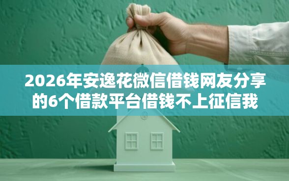 2026年安逸花微信借钱网友分享的6个借款平台借钱不上征信我觉得不错！