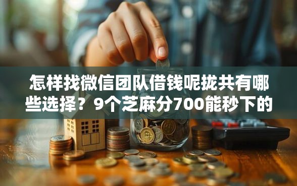 怎样找微信团队借钱呢拢共有哪些选择？9个芝麻分700能秒下的软件详解