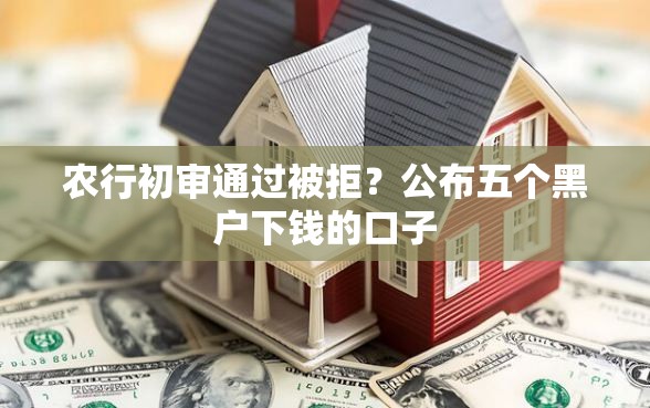 农行初审通过被拒？公布五个黑户下钱的口子