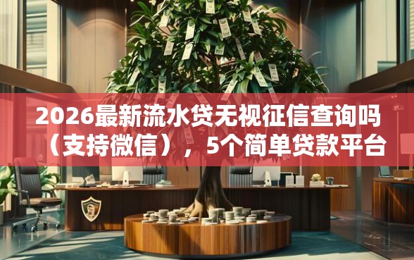 2026最新流水贷无视征信查询吗（支持微信），5个简单贷款平台无私分享