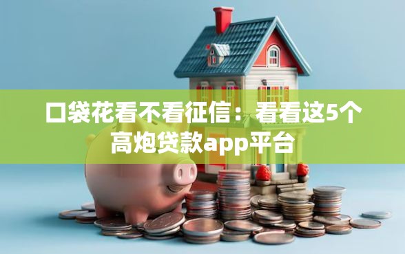 口袋花看不看征信：看看这5个高炮贷款app平台