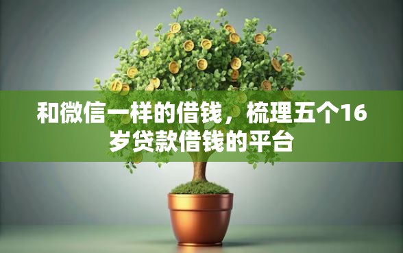 和微信一样的借钱，梳理五个16岁贷款借钱的平台