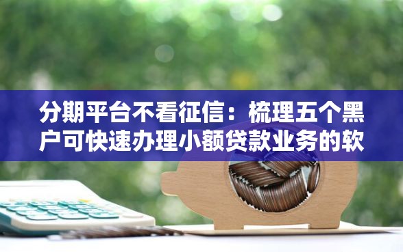 分期平台不看征信：梳理五个黑户可快速办理小额贷款业务的软件