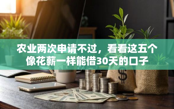 农业两次申请不过，看看这五个像花薪一样能借30天的口子