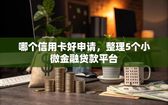 哪个信用卡好申请，整理5个小微金融贷款平台
