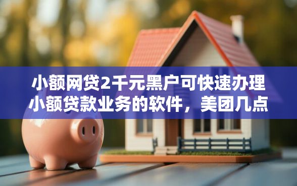 小额网贷2千元黑户可快速办理小额贷款业务的软件，美团几点借钱好下款的8个平台介绍