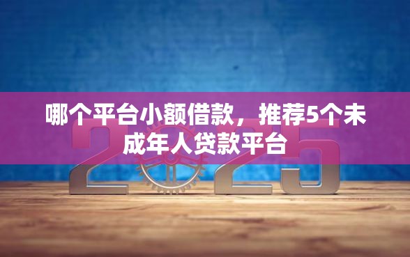 哪个平台小额借款，推荐5个未成年人贷款平台