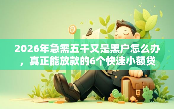 2026年急需五千又是黑户怎么办，真正能放款的6个快速小额贷款平台推荐